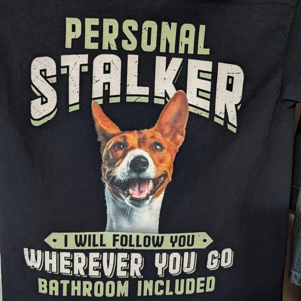 Basenji T-Shirt Unisex Small Fruit of the Loom Personal Stalker